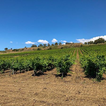 Fattoria Manostalla Villa Chiarelli Balestrate Exteriér fotografie