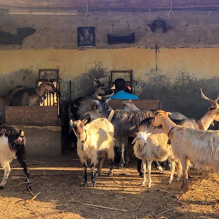 Fattoria Manostalla Villa Chiarelli Balestrate Exteriér fotografie