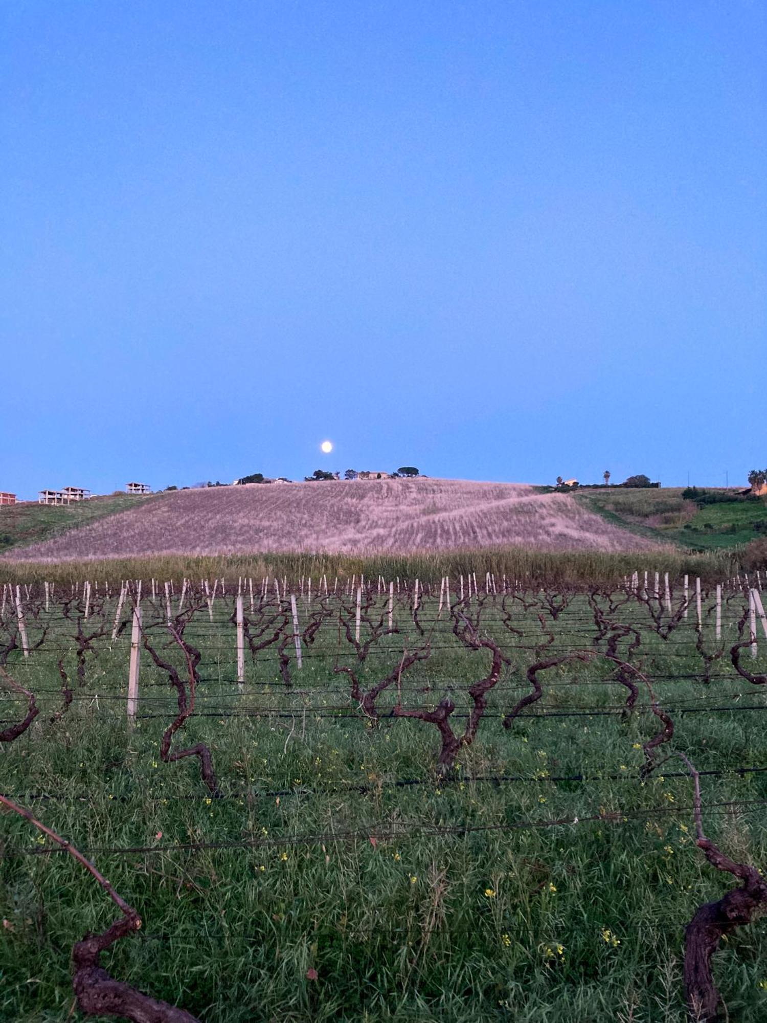 Fattoria Manostalla Villa Chiarelli Balestrate Exteriér fotografie