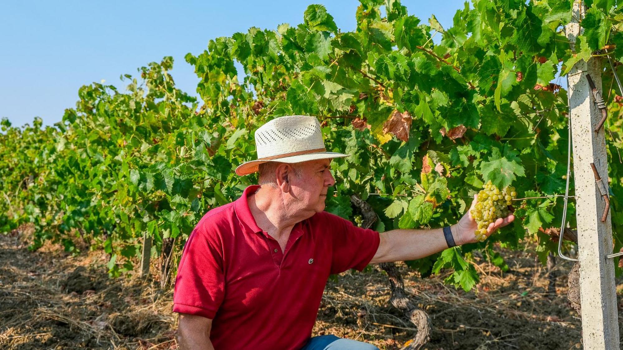 Fattoria Manostalla Villa Chiarelli Balestrate Exteriér fotografie