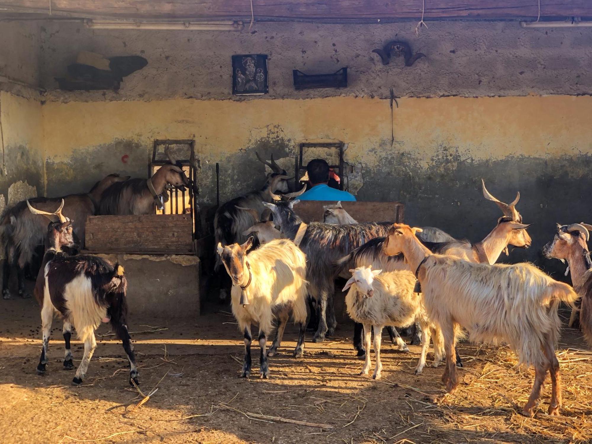 Fattoria Manostalla Villa Chiarelli Balestrate Exteriér fotografie