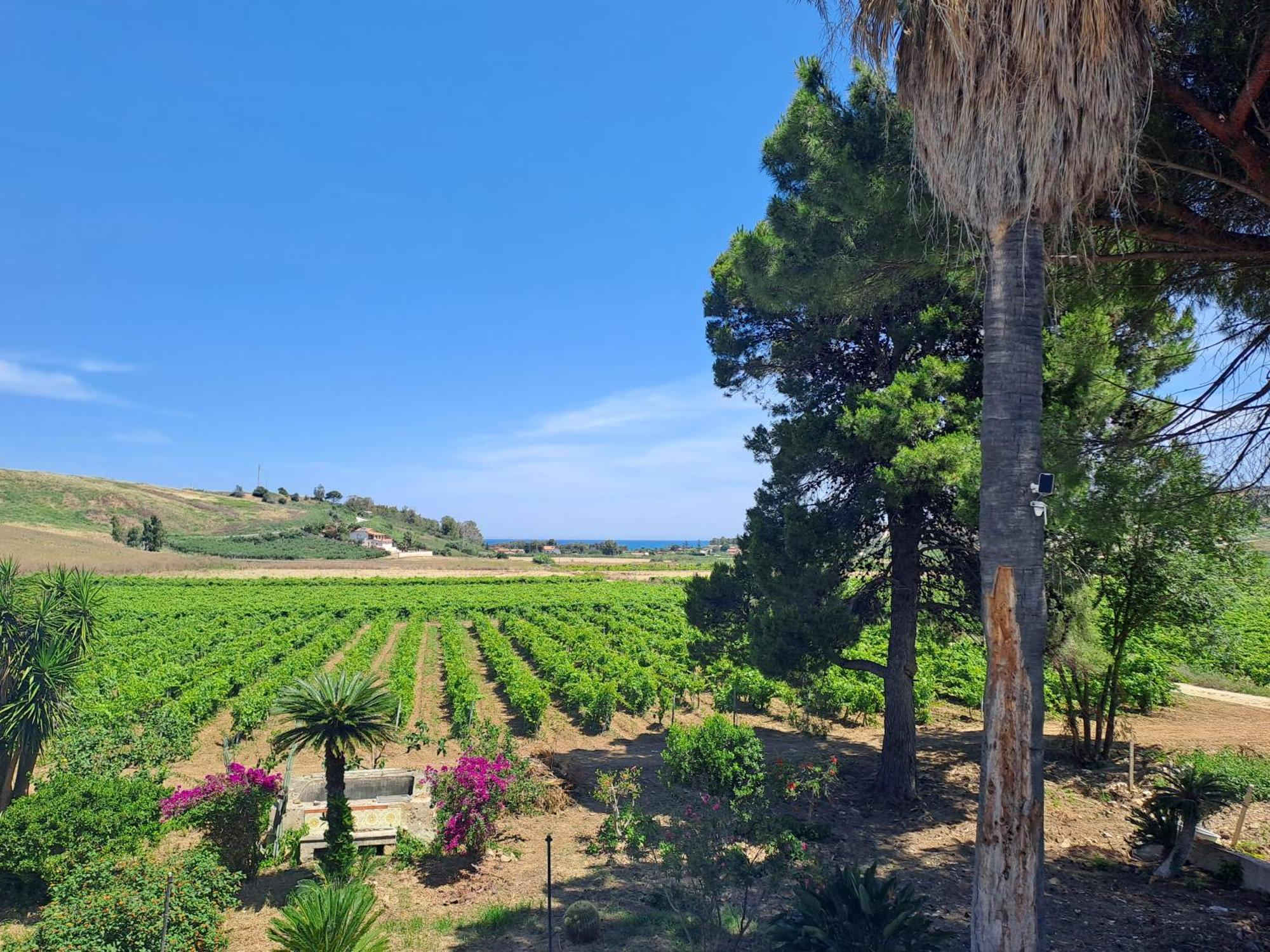 Fattoria Manostalla Villa Chiarelli Balestrate Exteriér fotografie